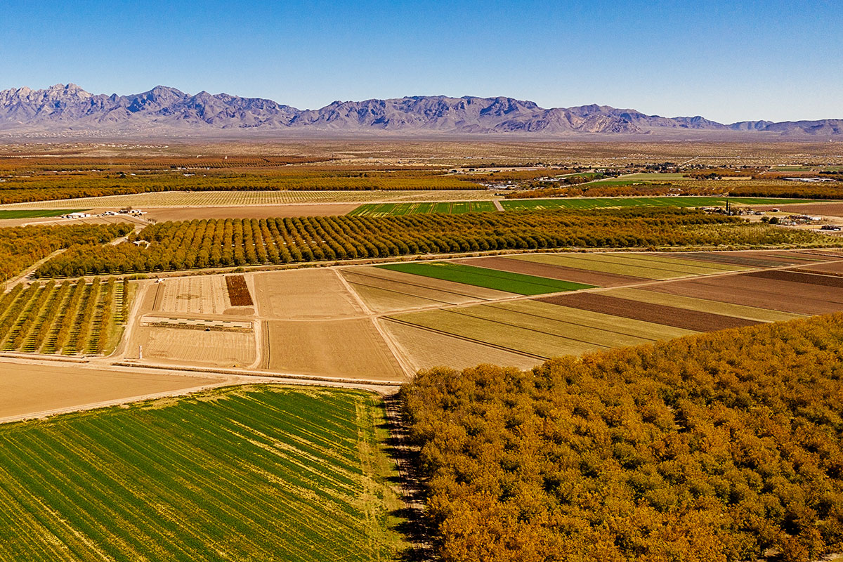 Aerial view of downtown Las Cruces, NM at sunset